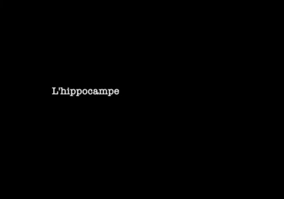 🎬 “Hippocampe”